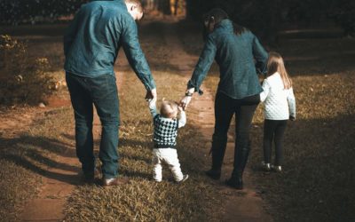 Shirtsleeves to Shirtsleeves in Three Generations